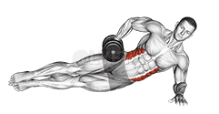 Dumbbell Side Bridge demonstration