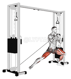 Cable Lateral Lunge demonstration