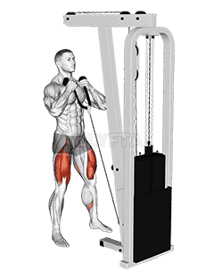 Cable Front Squat demonstration