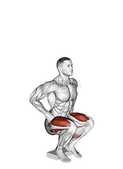 Narrow Squat from Deficit demonstration