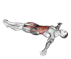 Lying Leg Hip Raise on Floor demonstration