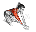 Kneeling One Arm Arm Reach Roll Lift demonstration