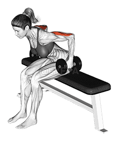 Dumbbell Seated Kickback demonstration
