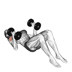 Dumbbell Lying on Floor Hammer Press demonstration