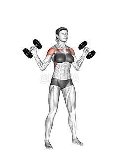 Dumbbell W press demonstration