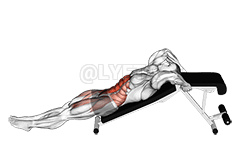 Decline Leg Hip Raise demonstration