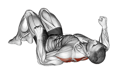 Lying Floor Row with Bent Knee demonstration