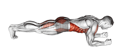 Front Plank with Leg Lift demonstration