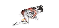 Resistance Band Bird Dog demonstration