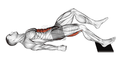 Single Leg Sliding Floor Bridge Curl on Towel demonstration