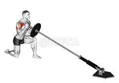 Landmine Kneeling One Arm Shoulder Press demonstration