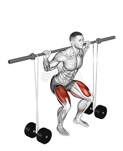 Barbell Banded Squat demonstration
