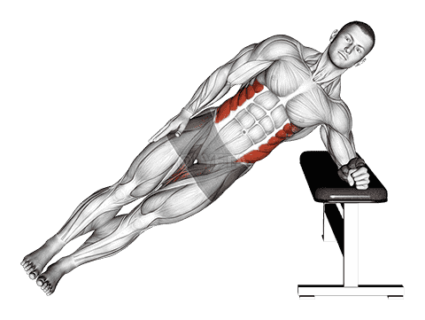Bodyweight Incline Side Plank demonstration