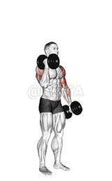 Dumbbell Standing Alternate Hammer Curl and Press demonstration