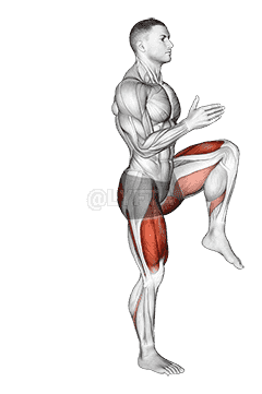Lunge with Leg Lift demonstration