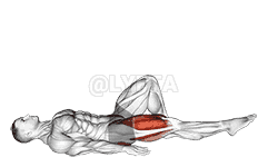 Single Leg Bridge with Hip Flexion demonstration