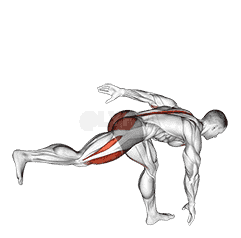 Single Leg Deadlift with Knee Lift demonstration