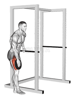 Weighted Single Leg Lift demonstration