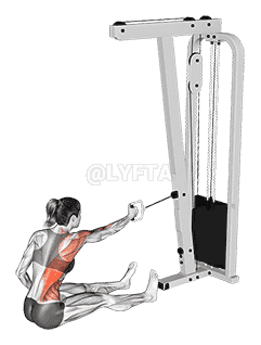 Cable One Arm Twisting Seated Row demonstration
