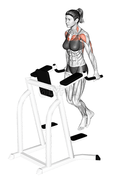 Chest Dip demonstration
