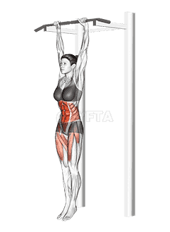 Hanging Straight Leg Hip Raise demonstration