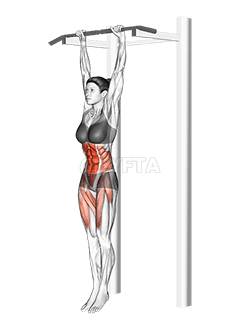 Hanging Straight Leg Hip Raise demonstration