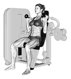Lever Triceps Extension demonstration