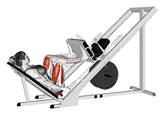 Sled 45 degrees Wide Stance Leg Press demonstration