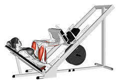 Sled 45 degrees Wide Stance Leg Press demonstration