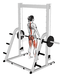 Smith Deadlift demonstration