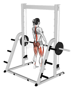 Smith Deadlift demonstration