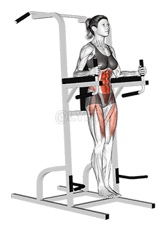 Vertical Leg Raise demonstration