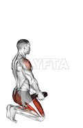 Weighted Kneeling Step with Swing demonstration