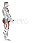 Weighted Lunge with Swing demonstration