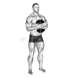 Dumbbell External Rotation demonstration