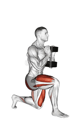 Dumbbell Goblet Split Squat demonstration
