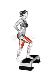 Single Leg Step Up demonstration