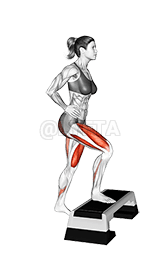 Single Leg Step Up demonstration