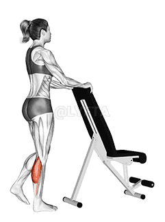 Standing Single Leg Calf Raise with Support demonstration