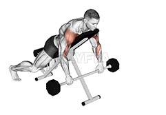 Barbell Incline Lying Rear Delt Raise demonstration