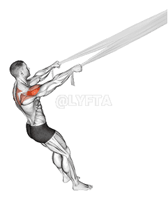 Rear Delt Fly with Bed Sheet demonstration