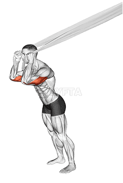 Overhead Triceps Extension with Bed Sheet demonstration