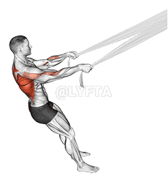 Rear Delt Row with Bed Sheet demonstration