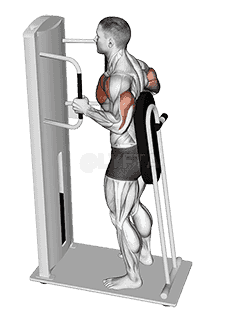 Lever Standing Chest Press demonstration