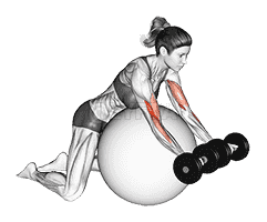 Dumbbell Preacher Curl over Exercise Ball demonstration