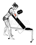 Dumbbell One Arm Zottman Preacher Curl demonstration
