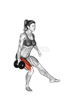 Dumbbell Single Leg Squat demonstration