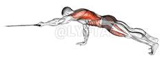Band Front Plank with Single Arm Pulldown demonstration