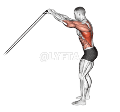 Band Skier demonstration