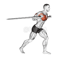 Band Standing Chest Press demonstration